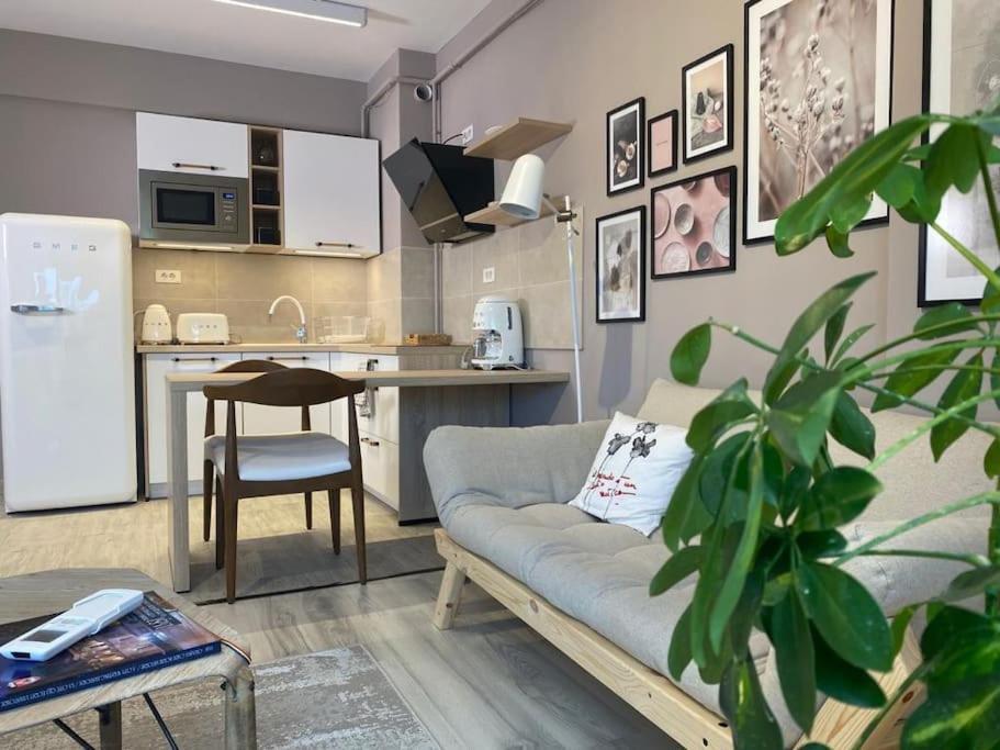 Shi Ti Junior Suite Iasi Exterior foto